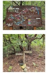 경북 포항 경주/운제산(시루봉 오어사)+오어지둘레길 - .............산행정보/ 추천 - 사천*삼천포 일요산악회 경북 포항 경주/운제산(시루봉 오어사)... 