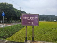 비슬산(달성1,084m) - 일반 산행기 - 레스비의 산 이야기 비슬산(달성1,084m)
