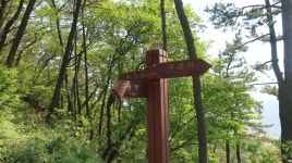 시루봉,응암산,철마산,구절산 [경남 고성] - 오게클럽산행기 - 레스비의 산 이야기 시루봉,응암산,철마산,구절산 [경남 고성] 