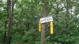 호남정맥 14구간 ( 돗재-개기재) - 호남정맥 - 레스비의 산 이야기 호남정맥 14구간 ( 돗재-개기재)