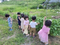 🌳🌻🍃산책하는날₊·*◟(⌯ˇ- ˇ⌯)◜‧*･😊🤗😉 - 2023֍믿음 - 공공형 장미어린이집 🌳🌻🍃산책하는날₊·*◟(⌯ˇ- ˇ... 