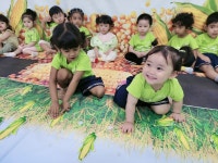 🏖🌿💦신나는 여름캠프!!🐳💦🌿👬👭 - 2025֍햇님반,햇님반1 - 공공형 장미어린이집 🏖🌿💦신나는 여름캠프!!🐳💦🌿👬👭