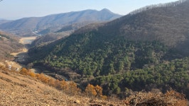 9정맥11차＜19＞호남1(조약봉~운암삼거리)64km,, 그리웠던 그 길에서.. - 두건 - J3 클럽 J3 클럽