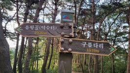9정맥11차＜10＞/금북1(칠장산~태조산~고등고개)67km..또 다른 시작, 그 길에서.. - 두건 - J3 클럽 J3 클럽