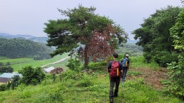 정맥11차＜12＞/금북3(차동고개~생미고개)67km.. 그린 꽃은 시들지 않는다 - 두건 - J3 클럽 J3 클럽