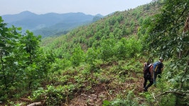 정맥11차＜12＞/금북3(차동고개~생미고개)67km.. 그린 꽃은 시들지 않는다 - 두건 - J3 클럽 J3 클럽