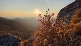 9정맥11차＜19＞호남1(조약봉~운암삼거리)64km,, 그리웠던 그 길에서.. - 두건 - J3 클럽 J3 클럽