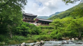 영남알프스 「천황산」 ☞ 「적조암」.. 아픔 없는 행복은 없다. - 두건 - J3 클럽 J3 클럽