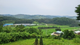 정맥11차＜12＞/금북3(차동고개~생미고개)67km.. 그린 꽃은 시들지 않는다 - 두건 - J3 클럽 J3 클럽