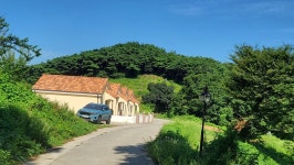 정맥11차＜12＞/금북3(차동고개~생미고개)67km.. 그린 꽃은 시들지 않는다 - 두건 - J3 클럽 J3 클럽