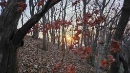 9정맥11차＜19＞호남1(조약봉~운암삼거리)64km,, 그리웠던 그 길에서.. - 두건 - J3 클럽 J3 클럽