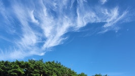 정맥11차＜12＞/금북3(차동고개~생미고개)67km.. 그린 꽃은 시들지 않는다 - 두건 - J3 클럽 J3 클럽