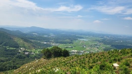 정맥11차＜12＞/금북3(차동고개~생미고개)67km.. 그린 꽃은 시들지 않는다 - 두건 - J3 클럽 J3 클럽