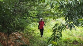 정맥11차＜12＞/금북3(차동고개~생미고개)67km.. 그린 꽃은 시들지 않는다 - 두건 - J3 클럽 J3 클럽