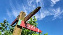 정맥11차＜12＞/금북3(차동고개~생미고개)67km.. 그린 꽃은 시들지 않는다 - 두건 - J3 클럽 J3 클럽