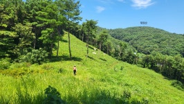 정맥11차＜12＞/금북3(차동고개~생미고개)67km.. 그린 꽃은 시들지 않는다 - 두건 - J3 클럽 J3 클럽