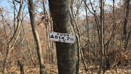 9정맥11차＜19＞호남1(조약봉~운암삼거리)64km,, 그리웠던 그 길에서.. - 두건 - J3 클럽 J3 클럽