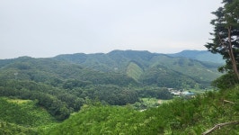 정맥11차＜12＞/금북3(차동고개~생미고개)67km.. 그린 꽃은 시들지 않는다 - 두건 - J3 클럽 J3 클럽