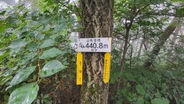 정맥11차＜12＞/금북3(차동고개~생미고개)67km.. 그린 꽃은 시들지 않는다 - 두건 - J3 클럽 J3 클럽