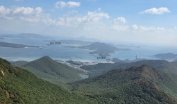 네이버 검색 결과 사진 2
