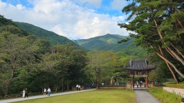 「지리산」( 피아골~종석대~상선암)/ 지리10대를 찾아서... - 두건 - J3 클럽 J3 클럽