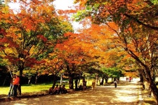 제619차 변산반도[관음봉]내소사 단풍산행 11/8 토 - ♥정기산행... 창원 기백 산악회 제619차 변산반도[관음봉]내소사 단풍산행 11/8 토