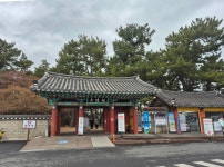 196차역사기행(경주시 일원) - 역사 기행 사진 - 내포문화 연구원 196차역사기행(경주시 일원)