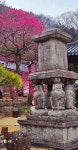 197차 역사기행(전남 구례군 편) - 역사 기행 사진 - 내포문화 연구원 197차 역사기행(전남 구례군 편)