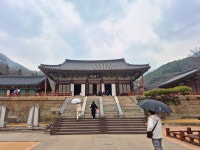 197차 역사기행(전남 구례군 편) - 역사 기행 사진 - 내포문화 연구원 197차 역사기행(전남 구례군 편)