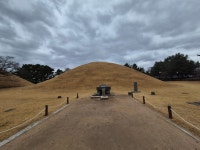 196차역사기행(경주시 일원) - 역사 기행 사진 - 내포문화 연구원 196차역사기행(경주시 일원)