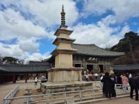 196차역사기행(경주시 일원) - 역사 기행 사진 - 내포문화 연구원 196차역사기행(경주시 일원)