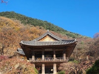 195차 역사기행(경북영주시편) - 역사 기행 사진 - 내포문화 연구원 195차 역사기행(경북영주시편)
