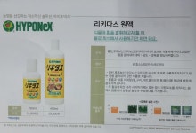 최근 저렴한 품목 이라고합니다 - (주) 조양무역 난석 - 백황 난원 최근 저렴한 품목 이라고합니다