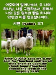 원수의 성문을 얻으리라 - 김수경 목사의 매일 성경 공부 및 QT - 산성교회친구들 원수의 성문을 얻으리라