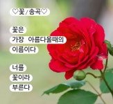 ♤＜송곡＞거창 금원산 여행 사진과 후기글♤ - 회원 포토. - 마이 힐링로드 ♤＜송곡＞거창 금원산 여행 사진과 후기글♤