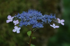 거창 금원산 나들이 2025-06-28 - 회원 포토. - 마이 힐링로드 거창 금원산 나들이 2025-06-28