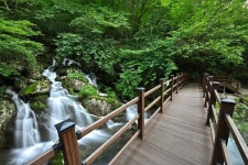 ＜237＞7월26일 냉기가득한 계곡 강원도 정선 항골 숨바우길... 237＞7월26일 냉기가득한 계곡 강원도 정선 항골 숨바우길 / 솔드아웃