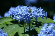 거창 금원산 나들이 2025-06-28 - 회원 포토. - 마이 힐링로드 거창 금원산 나들이 2025-06-28