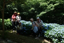 거창 금원산 나들이 2025-06-28 - 회원 포토. - 마이 힐링로드 거창 금원산 나들이 2025-06-28