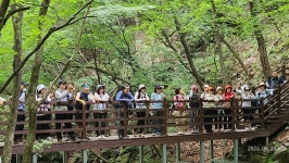 ♤＜송곡＞거창 금원산 여행 사진과 후기글♤ - 회원 포토. - 마이 힐링로드 ♤＜송곡＞거창 금원산 여행 사진과 후기글♤