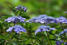 거창 금원산 나들이 2025-06-28 - 회원 포토. - 마이 힐링로드 거창 금원산 나들이 2025-06-28