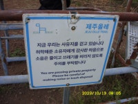 제주올레길 14-1코스(저지리-저지 곶자왈-문도지 오름-오실록 녹차밭) - 제주올레길 - 산등성이의 두꺼비 제주올레길 14-1코스(저지리-저지... 