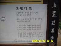 내포문화숲길 13구간(천주3코스,인물1코스)충의대교-충의사-용봉초교 - 내포 문화숲길 - 산등성이의 두꺼비 내포문화숲길 13구간(천주3코스... 