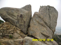 내포문화숲길 13구간(천주3코스,인물1코스)충의대교-충의사-용봉초교 - 내포 문화숲길 - 산등성이의 두꺼비 내포문화숲길 13구간(천주3코스... 