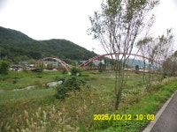 내포문화숲길 13구간(천주3코스,인물1코스)충의대교-충의사-용봉초교 - 내포 문화숲길 - 산등성이의 두꺼비 내포문화숲길 13구간(천주3코스... 