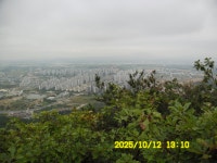 내포문화숲길 13구간(천주3코스,인물1코스)충의대교-충의사-용봉초교 - 내포 문화숲길 - 산등성이의 두꺼비 내포문화숲길 13구간(천주3코스... 