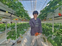 20260108 딸기 농장 체험 - 문화 - 성복 행복한 홈스쿨 20260108 딸기 농장 체험