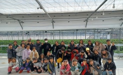 20250227_딸기농장체험 - 문화 - 성복 행복한 홈스쿨 20250227_딸기농장체험