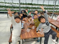 20250227_딸기농장체험 - 문화 - 성복 행복한 홈스쿨 20250227_딸기농장체험