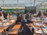 20260108 딸기 농장 체험 - 문화 - 성복 행복한 홈스쿨 20260108 딸기 농장 체험